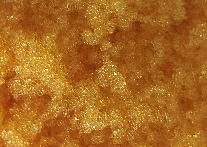 �ڲ�tengbo9885_��ҳ(��ӭ��)